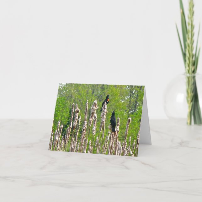 Rotgeflügelte Amseln auf Cattails-Anmerkungs-Karte Karte (Vorderseite)