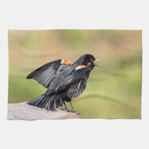 Rotgeflügelte singende Amsel Geschirrtuch