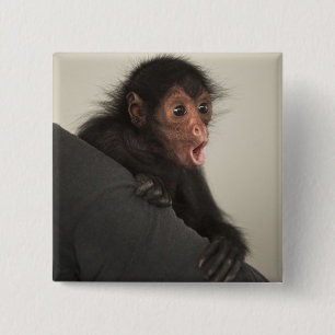 Rotgesichtklammeraffe Ateles paniscus) Button