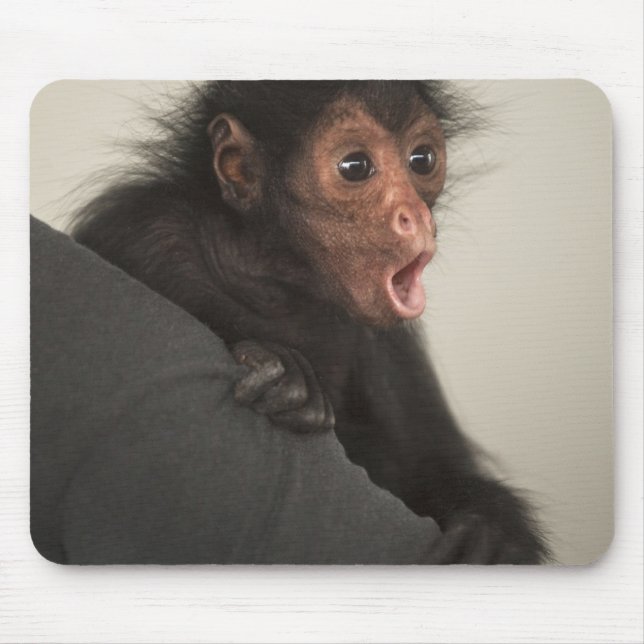 Rotgesichtklammeraffe Ateles paniscus) Mousepad (Vorne)