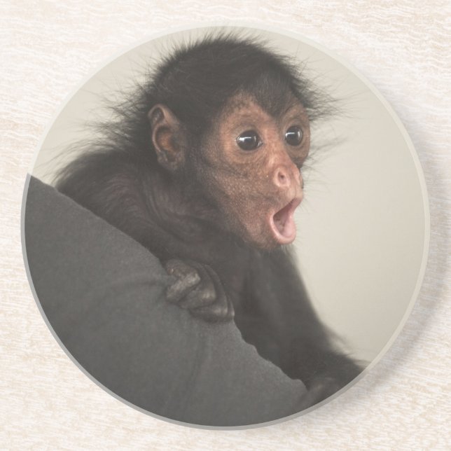 Rotgesichtklammeraffe Ateles paniscus) Untersetzer (Vorne)