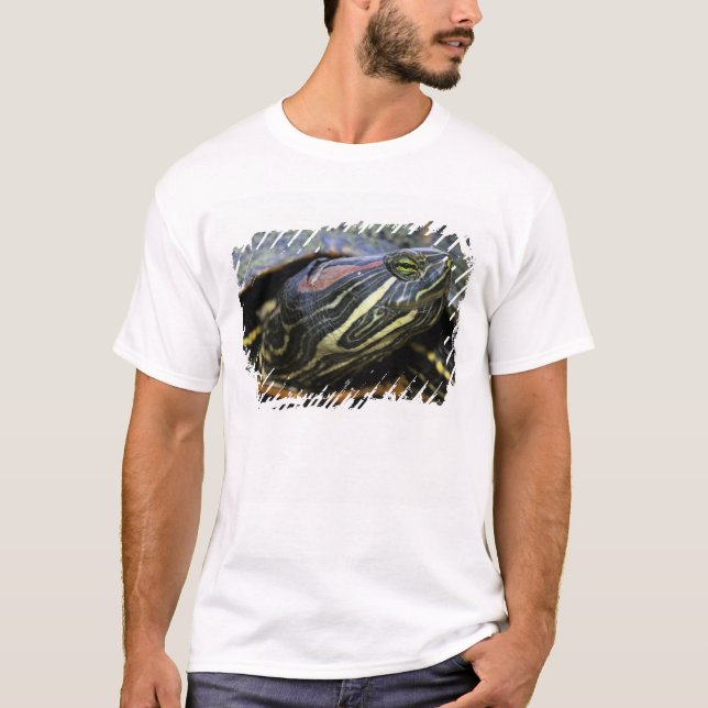 Rothaardieb, Trachemys scripta elegans, 2 T-Shirt (Vorderseite)