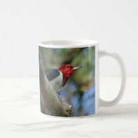 Rothaarige Woodpecker-Tasse