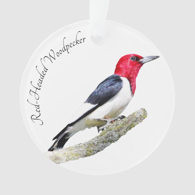 Rothaariger Specht Ornament (Vorderseite)