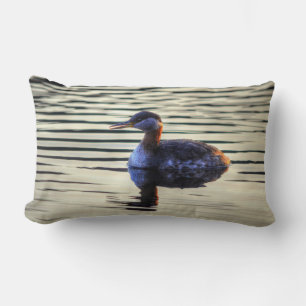 Rothackiges Grebe Waterfowl Wildlife Foto Lendenkissen
