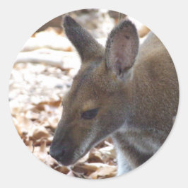 Rothalsiger Wallaby-Aufkleber Runder Aufkleber