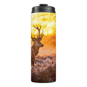 Rothirsch im Morgenlicht. Hirsch,Tier,Wildnis,Natu Thermosbecher