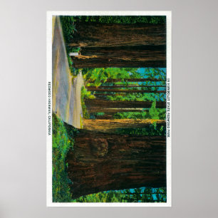 Rotholz-Landstraße im Humboldt-Staats-Rotholz-Par Poster