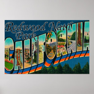 Rotholz-Nationalpark, Kalifornien Poster