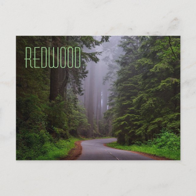 Rotholzbäume, Nationalparks Redwood/Staat Postkarte (Vorderseite)