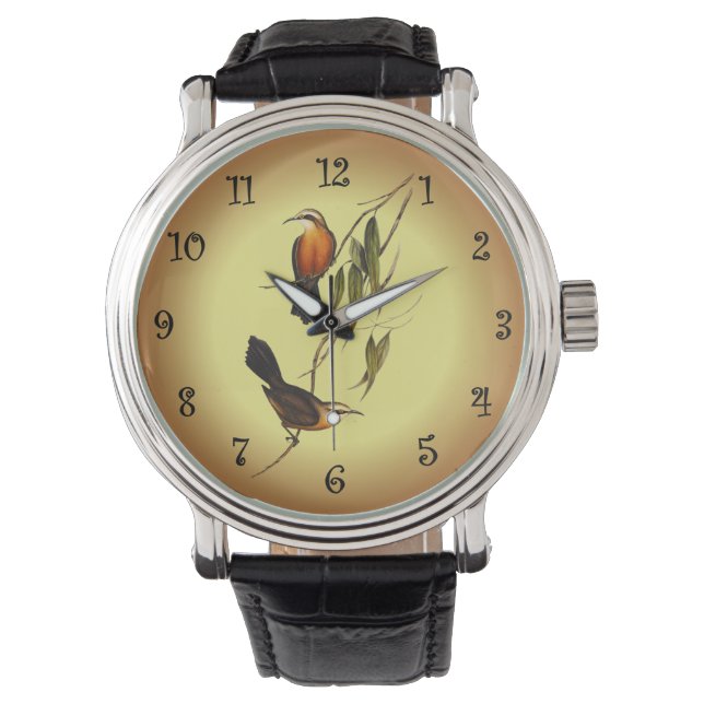 Rothühner Pomatorhinus ~ Elizabeth Gould 01 V4 Armbanduhr (Vorderseite)