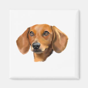 Rothund Dackel Magnet