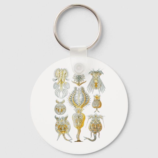Rotifers Schlüsselanhänger (Vorderseite)