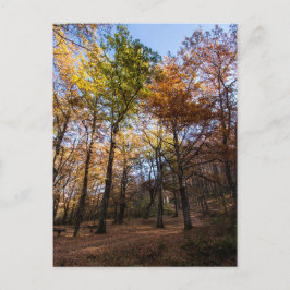 Rotino, Mazedonien Postkarte