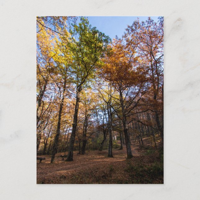 Rotino, Mazedonien Postkarte (Vorderseite)