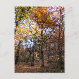 Rotino, Mazedonien Postkarte