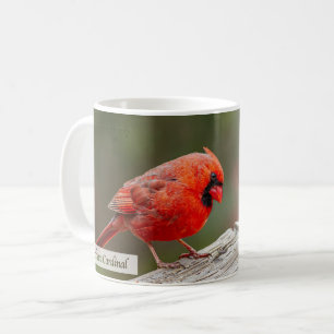 Rotkardinal Psalm 145:14 KJV Kaffeetasse