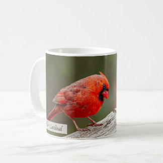 Rotkardinal Psalm 145:14 KJV Kaffeetasse