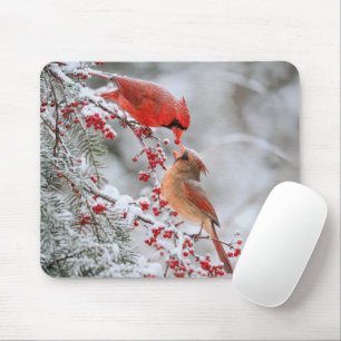 Rotkardinale und Beeren im Winter Mousepad