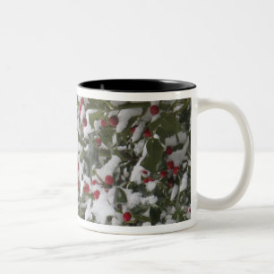 Rotkehlchen, das sich nach einem Schneefall in ein Zweifarbige Tasse