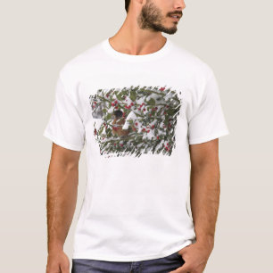 Rotkehlchen, das sich nach Schneefall in einer Ste T-Shirt