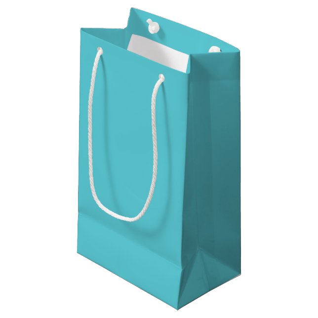 Rotkehlchen Ei Blau Kleine Geschenktüte (Vorderseite Schrägansicht)