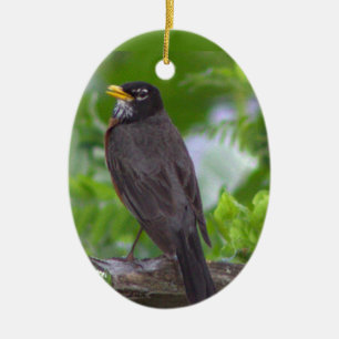 Rotkehlchen-Foto-Ornament Keramik Ornament