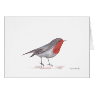 Rotkehlchen Vogel