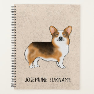 Rotköpfiger dreifarbiger Pembroke Welsh Corgi und Planer