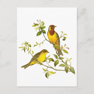 Rotkopfjagd Postkarte