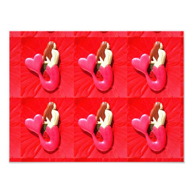 Rotkopfseelendachter aus Schwanz Fotodruck (Vorne)