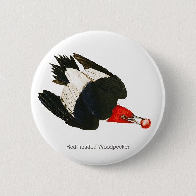 Rotkopfspecht, Audubon, Birdwatcher Bird Button (Vorderseite)