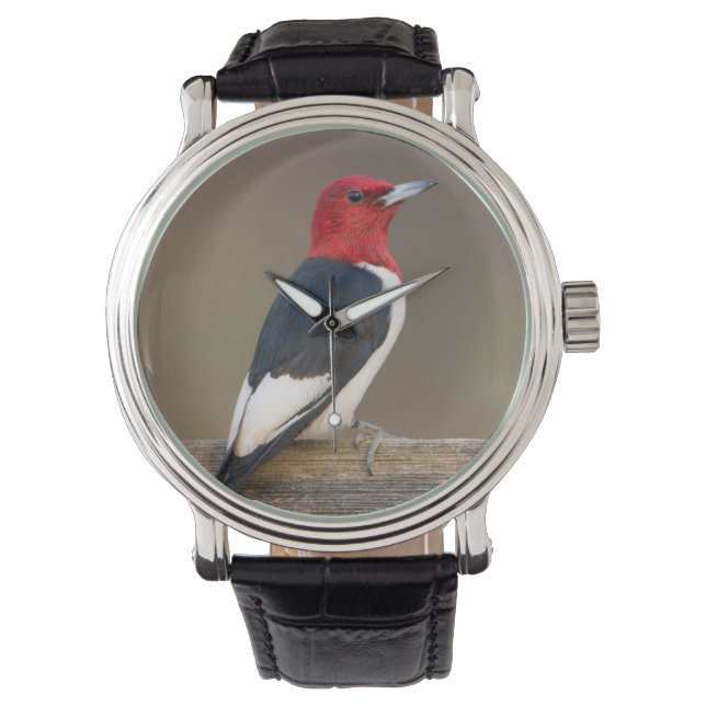 Rotkopfspecht auf Zaun Armbanduhr (Vorderseite)