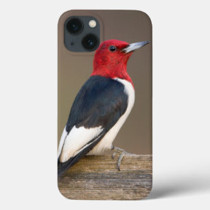 Rotkopfspecht auf Zaun Case-Mate iPhone Hülle