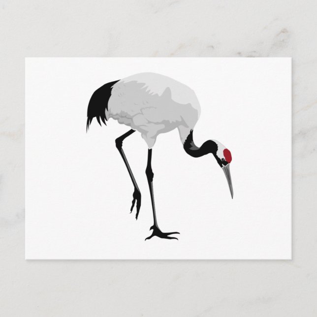 Rotkronenkranich (auch bekannt als Red Crowned Cra Postkarte (Vorderseite)