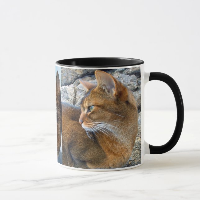 Rötliche abyssinische weibliche Katze Tasse (Rechts)