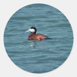 Rötliche Ente Runder Aufkleber