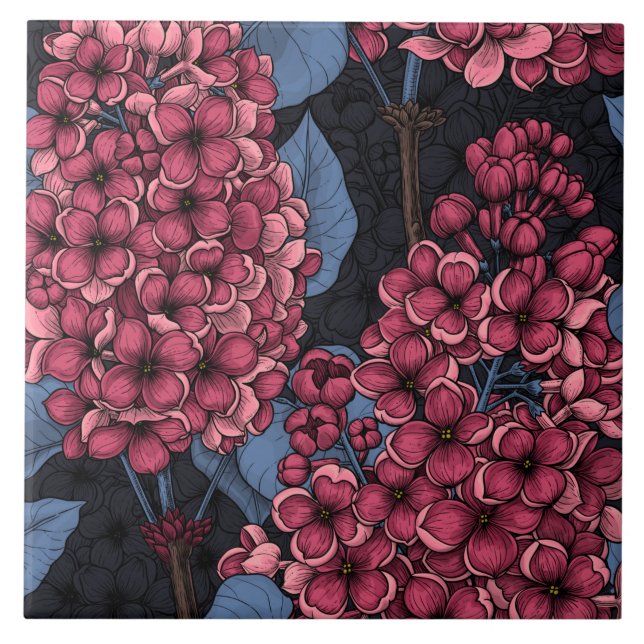 Rotlila auf dunkelblau fliese (Vorderseite)
