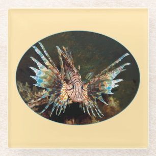Rotlionfish, Raja Ampat - fotografisches Design Glasuntersetzer