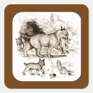 Rotluchs-Familie Quadratischer Aufkleber