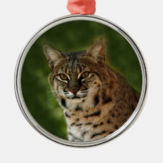 Rotluchs-Weihnachtsverzierung Ornament Aus Metall