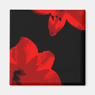 Rotmaryllis duo magnet