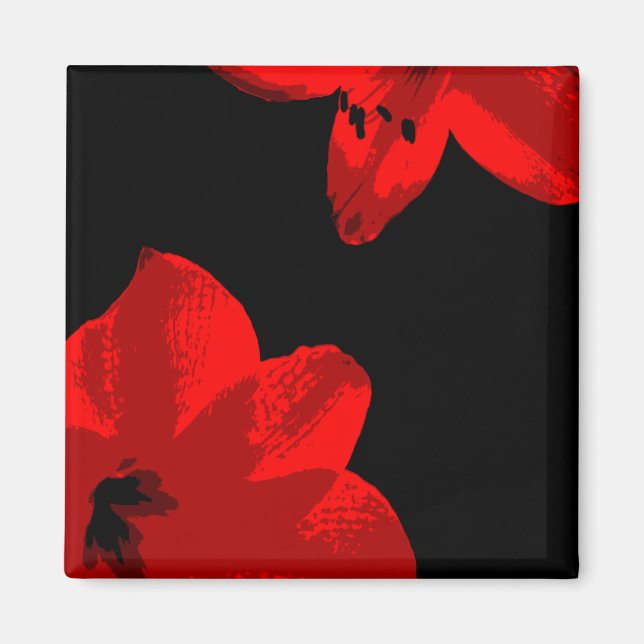 Rotmaryllis duo magnet (Vorne)