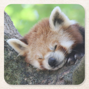 RotPanda20150705 Rechteckiger Pappuntersetzer