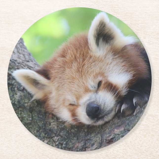 RotPanda20150705 Runder Pappuntersetzer (Vorderseite)