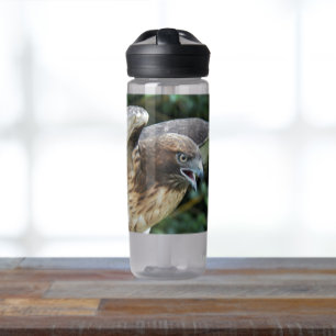 Rotrückenbussard-Foto Trinkflasche