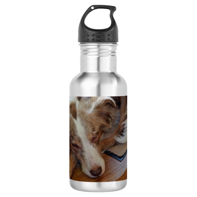 Rotschäfer Edelstahlflasche (Vorderseite)
