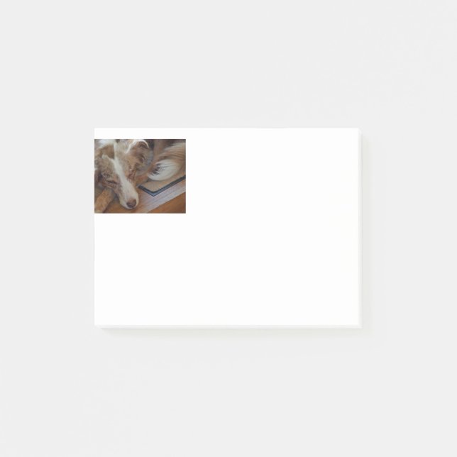 Rotschäfer Post-it Klebezettel (Vorderseite)