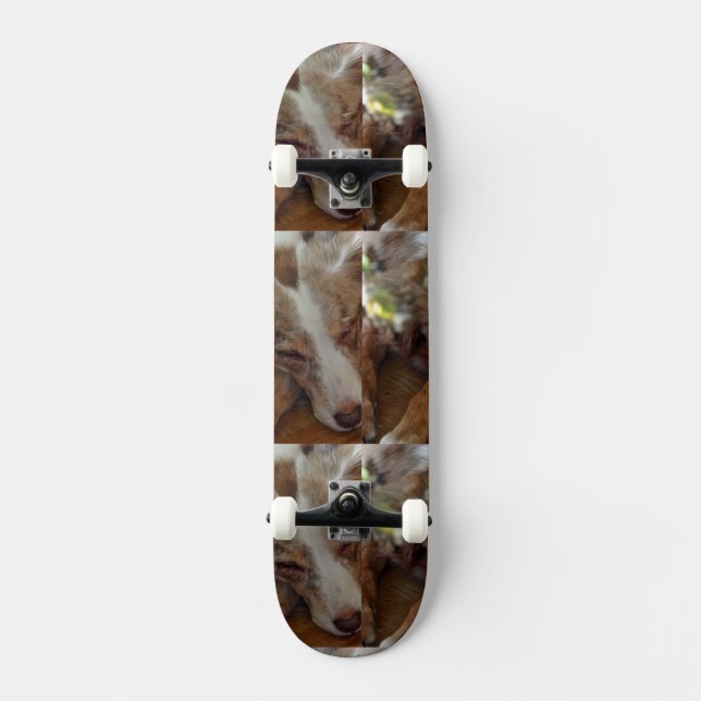 Rotschäfer Skateboard (Vorderseite)