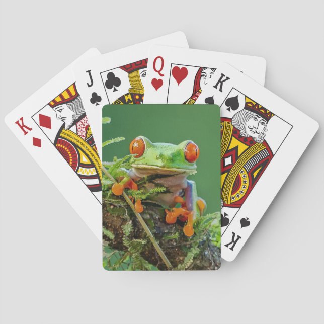 Rotschaumfrosch Spielkarten (Rückseite)